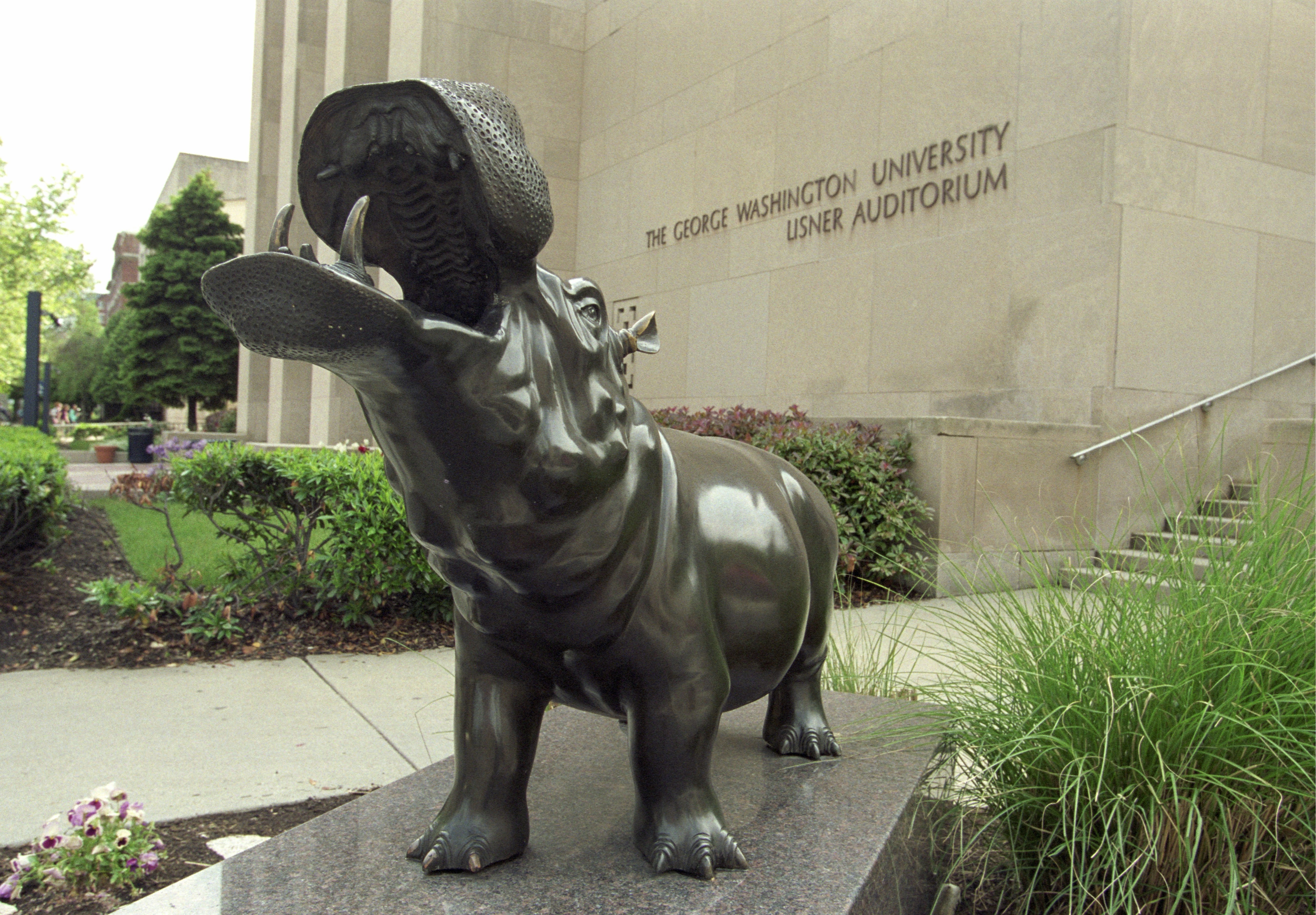 ChatGPT on Campus: Law Schools Wrestle With Emerging AI Tools - Vimarsana News